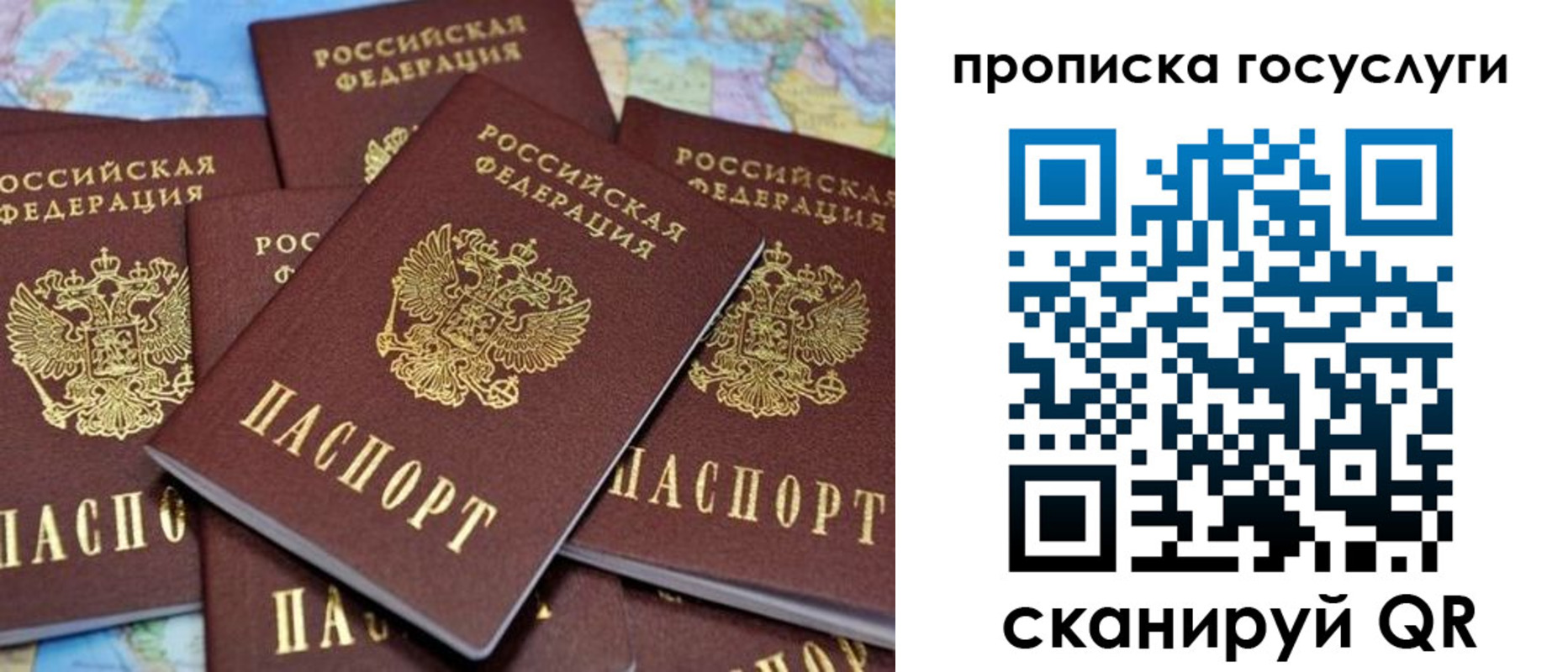 временная регистрация для всех в Алейске